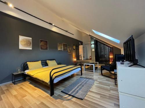 a bedroom with a bed and a television in a room at Savoya nr3 Studio Old City Center Self check-in in Timişoara