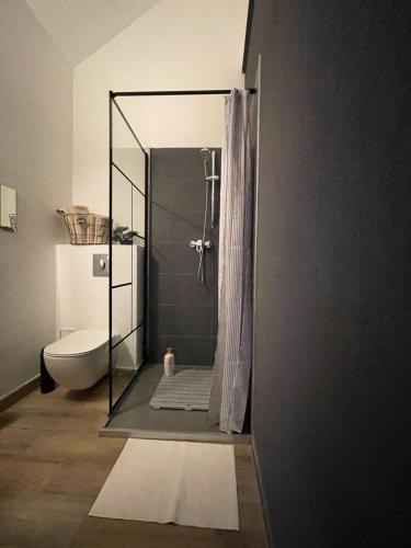 a bathroom with a shower with a tub and a toilet at Savoya nr3 Studio Old City Center Self check-in in Timişoara