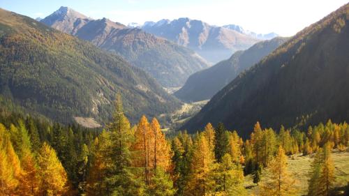 a view of a valley with trees and mountains at Alpengasthof Gutenbrunn in Mallnitz