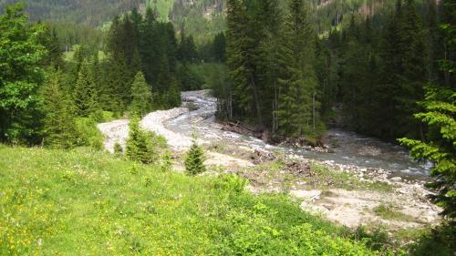 a river in the middle of a field with trees at Alpengasthof Gutenbrunn in Mallnitz