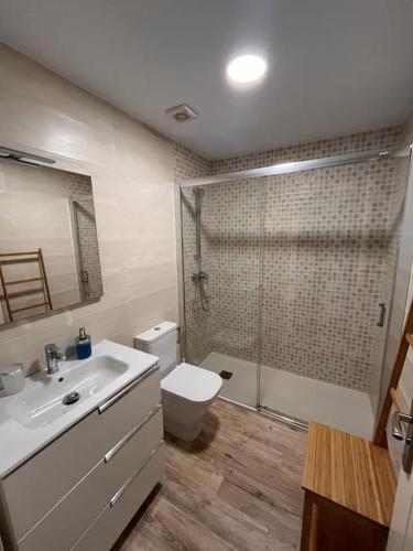 a bathroom with a sink and a toilet and a shower at Apartamento Bolingas in Comillas
