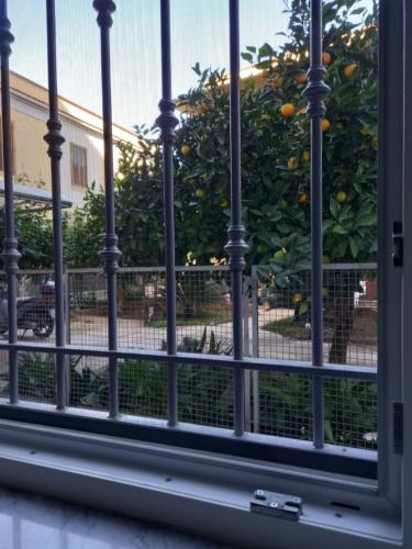 una ventana con vistas a un naranjo en Momenti e Monumenti en Palermo