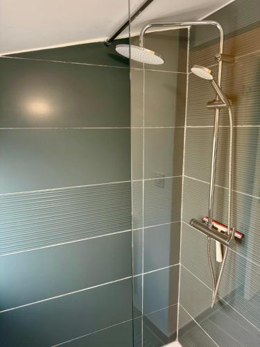 a shower with a glass door in a bathroom at Maisonnette de village à Rasteau in Rasteau