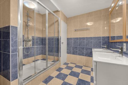 une salle de bain avec douche et lavabo dans l'établissement Roma Maximus - coeur historique vieille ville, à Toulouse