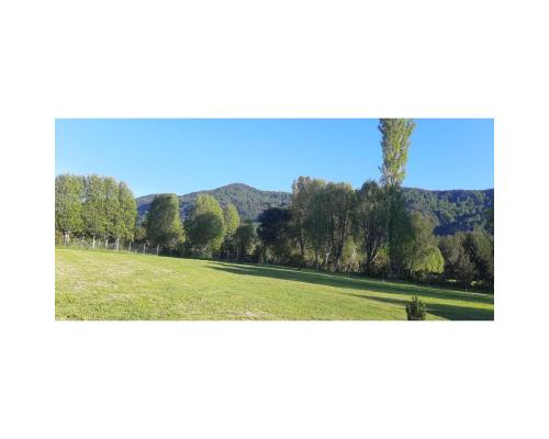 a grassy field with trees and mountains in the background at ENTRE PINOS Y LUCEROS ACOGEDORA CABAÑA RÚSTICA in Villarrica
