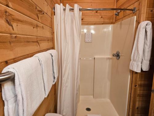 a bathroom with a shower and a white shower curtain at 5 Min To Beaver Lake King Bed Fire Pit Jetted Tub #4 in Eureka Springs
