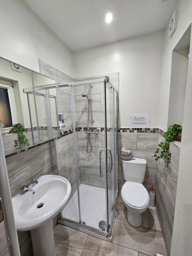 a bathroom with a shower and a toilet and a sink at Atlantic Views ground floor apartment in Portrush