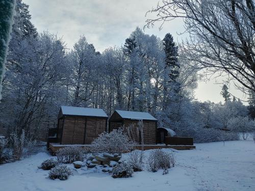 a small cabin in a snow covered yard with trees at Chateau Murdock Gite et Esthétique 1950 in Saguenay