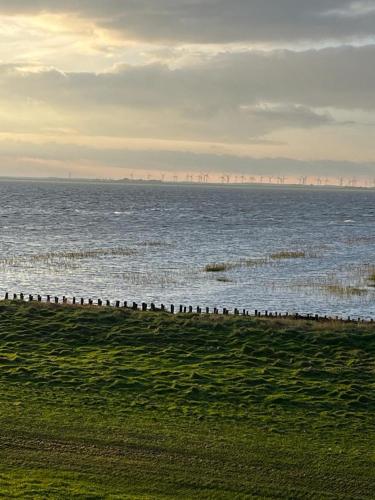 um grande corpo de água com um bando de aves em Haus Naase App 2 em Norderney
