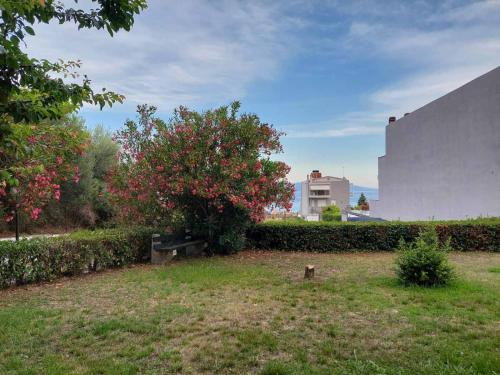 a park with a hedge and a tree with pink flowers at STUDIO KIPOS in Iraklitsa
