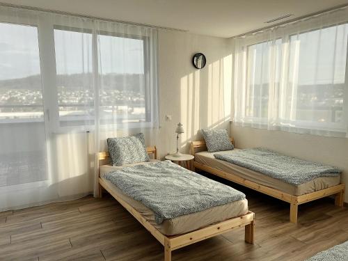 2 camas en una habitación con ventanas grandes en Beautiful Apartment 10 min from Zurich! Netflix!, en Schlieren