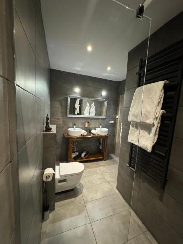 a bathroom with a toilet and a sink at Framptons Apartments Garden & Spa - Dla dorosłych i dzieci 12 plus - Adults and children 12 plus in Murzasichle