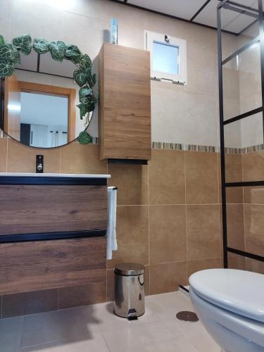 a bathroom with a toilet and a mirror at Cozy apartment in Castalla in Castalla