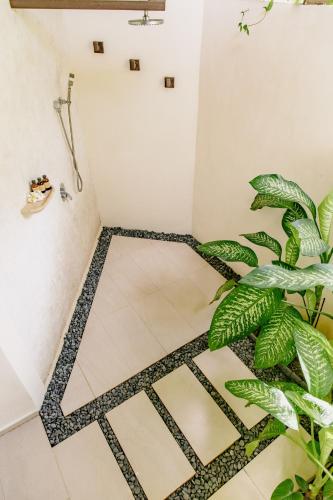 a bathroom with a shower and a plant at Mantaray Siargao in General Luna