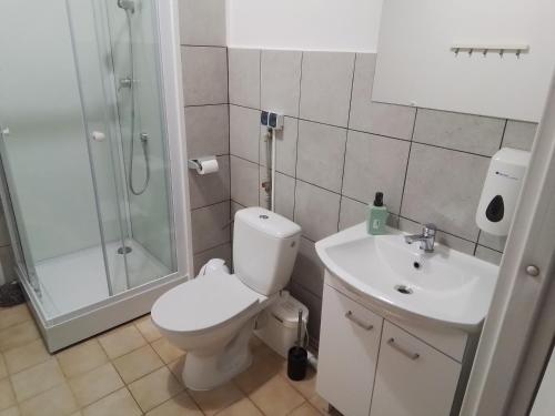La salle de bains est pourvue de toilettes, d'une douche et d'un lavabo. dans l'établissement Centrum ARTLwowska, à Varsovie