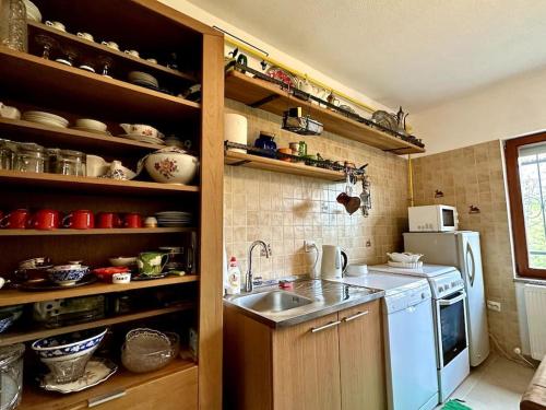 een kleine keuken met een wastafel en een koelkast bij Dream house near city center in Sarajevo