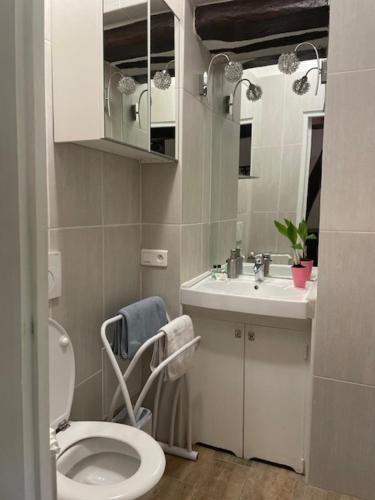 Ένα μπάνιο στο Appartement Héritage - 1 chambre 4 personnes
