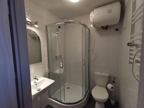 a bathroom with a shower and a toilet and a sink at Plażowa 2 in Rowy