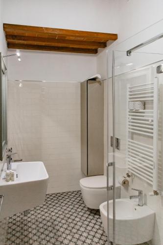 Big apartment near Piazza Santo Spirito
