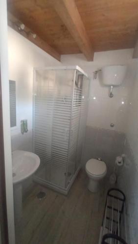 y baño con ducha, aseo y lavamanos. en BeB Silvia, en Santa Maria Capua Vetere