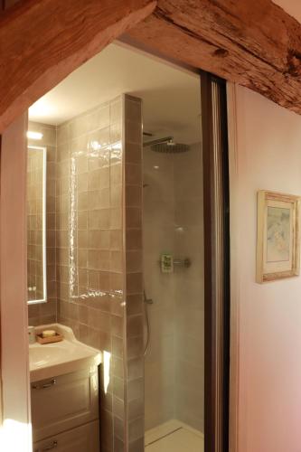 a bathroom with a shower and a sink at LA LONGERE GALOPE in Sainte-Gauburge-Sainte-Colombe