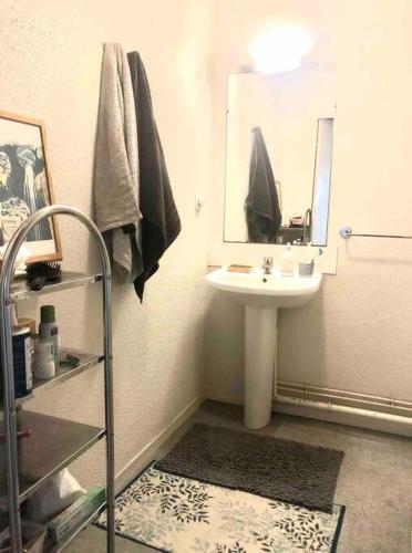 y baño con lavabo y espejo. en Superbe Appartement Lumineux en Rennes