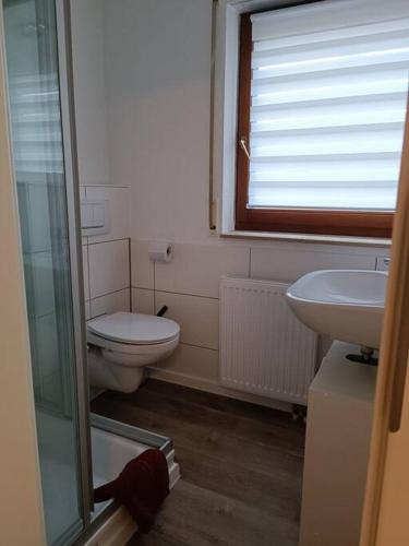 a bathroom with a toilet and a sink and a window at Ferienwohnung in Oberrot in Oberrot