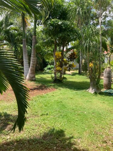 a park with palm trees and green grass at GREEN PARADISE LEONA VICARIO in Leona Vicario