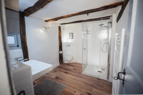 ein Bad mit einer Dusche, einem Waschbecken und einem WC in der Unterkunft Altstadt Märchen-Fachwerkhaus in Limburg an der Lahn