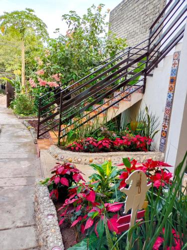 Casa Amelia – Photos 2