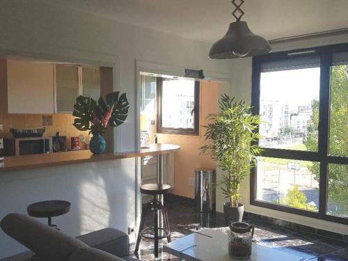 ein Wohnzimmer mit einer Theke und eine Küche mit Pflanzen in der Unterkunft Appartement COSY entièrement équipé in Toulouse