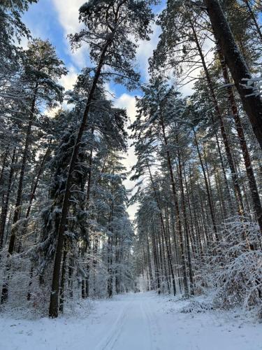 a snow covered road in a forest with trees at APARTAMENT CENTRUM in Nowe Miasto Lubawskie