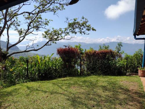 uma vista para as montanhas a partir do quintal de uma casa em Finca Emilio em Fredonia