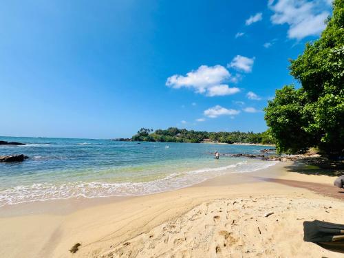 una spiaggia sabbiosa con alberi e l'oceano di Blue Surf View - Tangalle a Tangalle