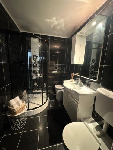 a bathroom with a shower and a toilet and a sink at RED Dhomes . Near Nymphaea in Oradea