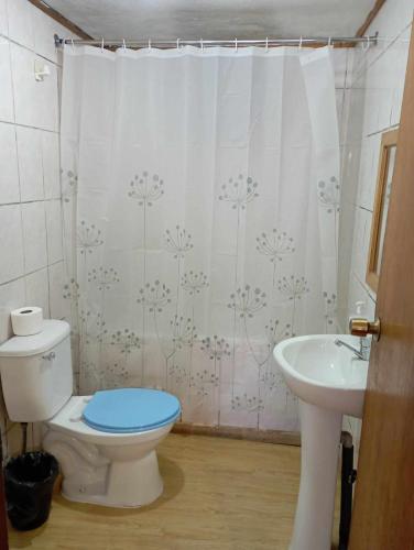 uma casa de banho com um WC e um lavatório em Cabañas Ancud Magico em Ancud
