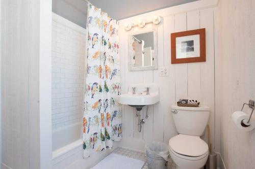 a bathroom with a toilet and a sink at iKlektik House // Robin in Chicago
