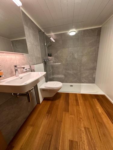 uma casa de banho com um lavatório, um WC e um chuveiro em One Bedroom with mountain and garden view ground floor of Chalet Solaria em Zweisimmen