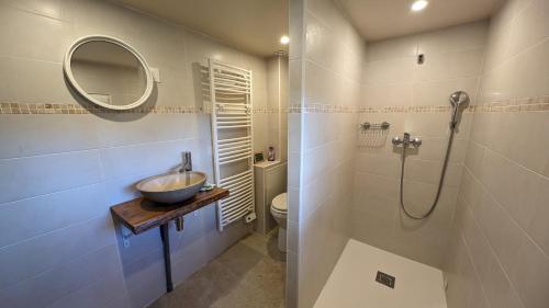 y baño con lavabo, ducha y aseo. en Sainte Suzanne gite de LA CHARRETERIE, en Les Baux-de-Breteuil