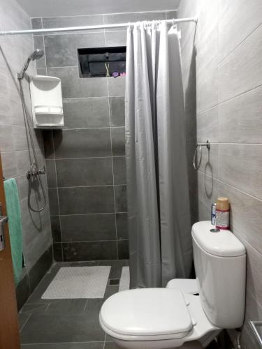 a small bathroom with a toilet and a shower at Casa Jardim in Ponta do Pargo