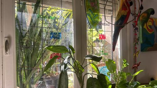 a room with a window with plants in it at Alquiler Temporario Rosario 15 in Rosario