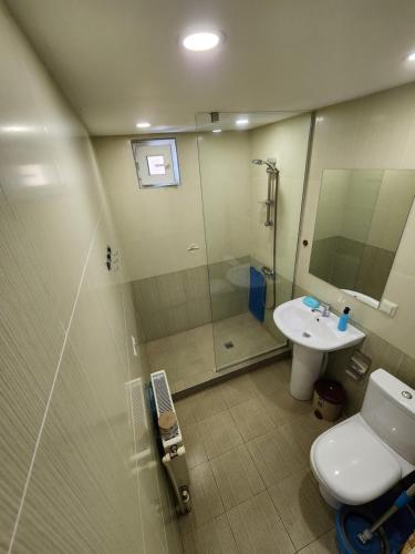 a bathroom with a shower and a toilet and a sink at King in Tsaghkadzor