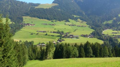 a green valley with houses and trees on a hill at Gondelblick in Alpbach