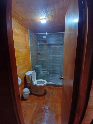 y baño con aseo y ducha acristalada. en Hospedaje cabaña Guatavita finca las acacias, en Guatavita