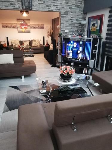 TV a/nebo společenská místnost v ubytování Andros Residence