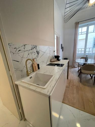 uma cozinha com um lavatório e uma bancada em Suite Detroit em Lyon