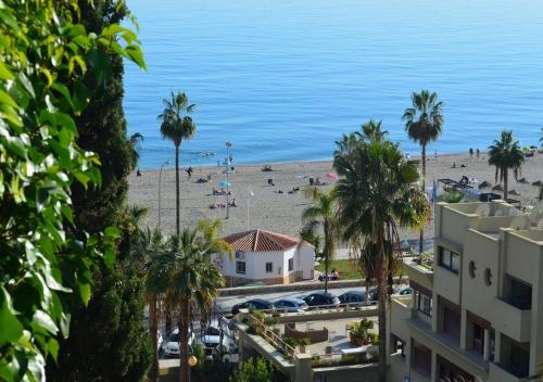 a view of a beach with palm trees and a building at Stunning Duplex in Capistrano Playa, Nerja in Nerja