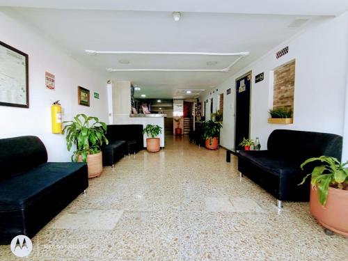 a waiting room with black couches and potted plants at Hotel Medellin Kapital in Medellín