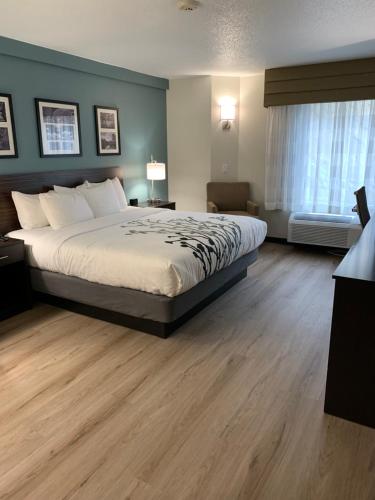 een grote slaapkamer met een bed en een raam bij Sleep Inn in Staunton