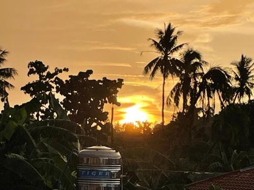 a sunset with palm trees and a bottle in the foreground at PEPAYEN INN Homestay in General Luna